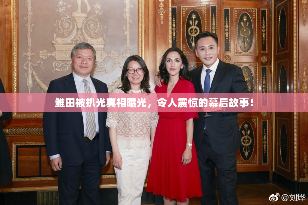 雏田被扒光真相曝光，令人震惊的幕后故事！