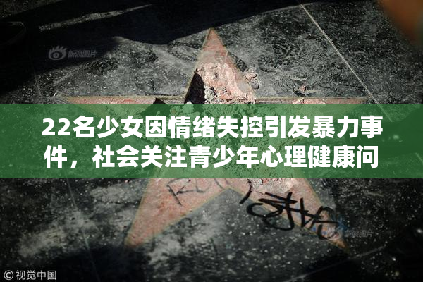 22名少女因情绪失控引发暴力事件，社会关注青少年心理健康问题