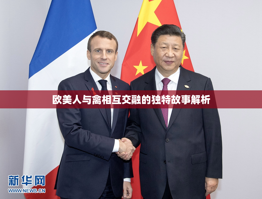 欧美人与禽相互交融的独特故事解析