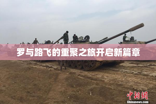 罗与路飞的重聚之旅开启新篇章