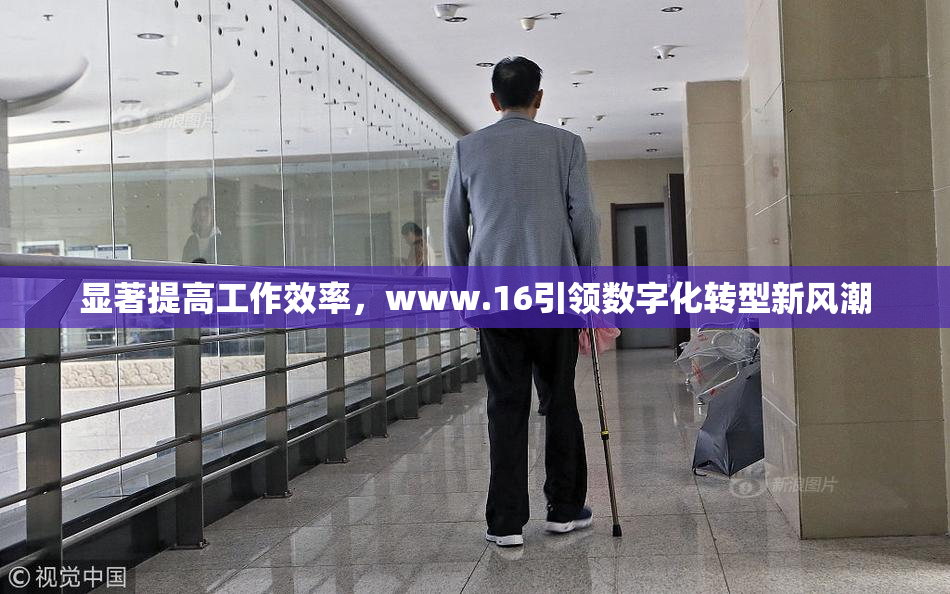 显著提高工作效率，www.16引领数字化转型新风潮