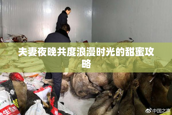 夫妻夜晚共度浪漫时光的甜蜜攻略