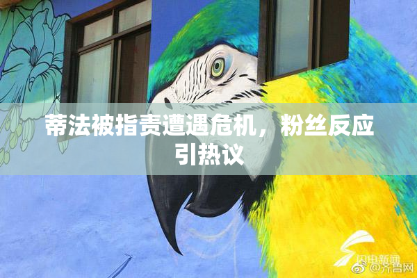 蒂法被指责遭遇危机，粉丝反应引热议