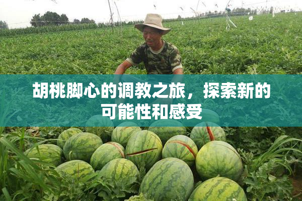 胡桃脚心的调教之旅，探索新的可能性和感受