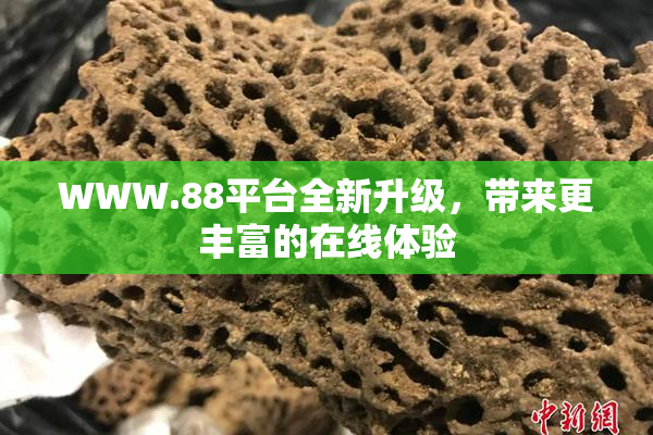 WWW.88平台全新升级，带来更丰富的在线体验