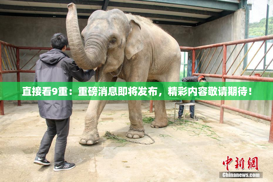 直接看9重：重磅消息即将发布，精彩内容敬请期待！