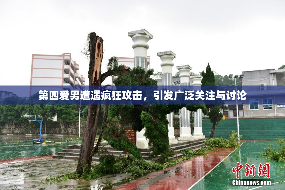 第四爱男遭遇疯狂攻击，引发广泛关注与讨论