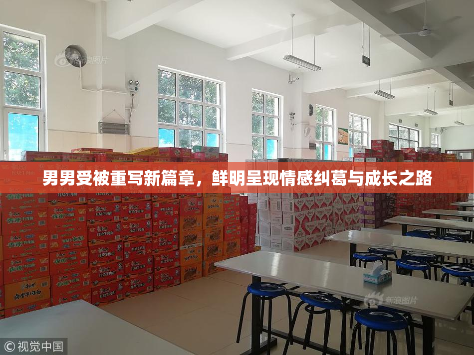 男男受被重写新篇章，鲜明呈现情感纠葛与成长之路