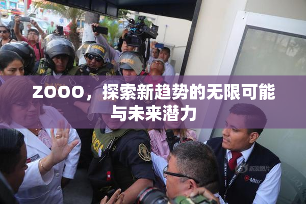ZOOO，探索新趋势的无限可能与未来潜力