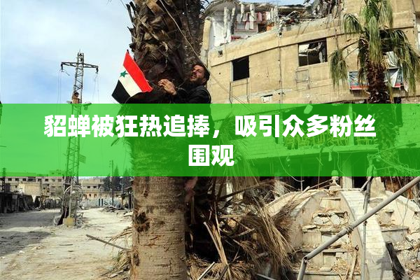 貂蝉被狂热追捧，吸引众多粉丝围观