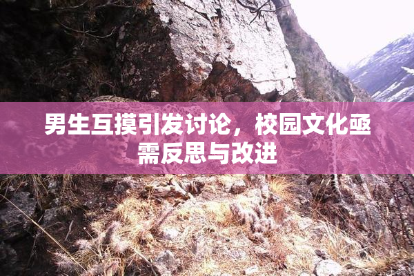 男生互摸引发讨论，校园文化亟需反思与改进