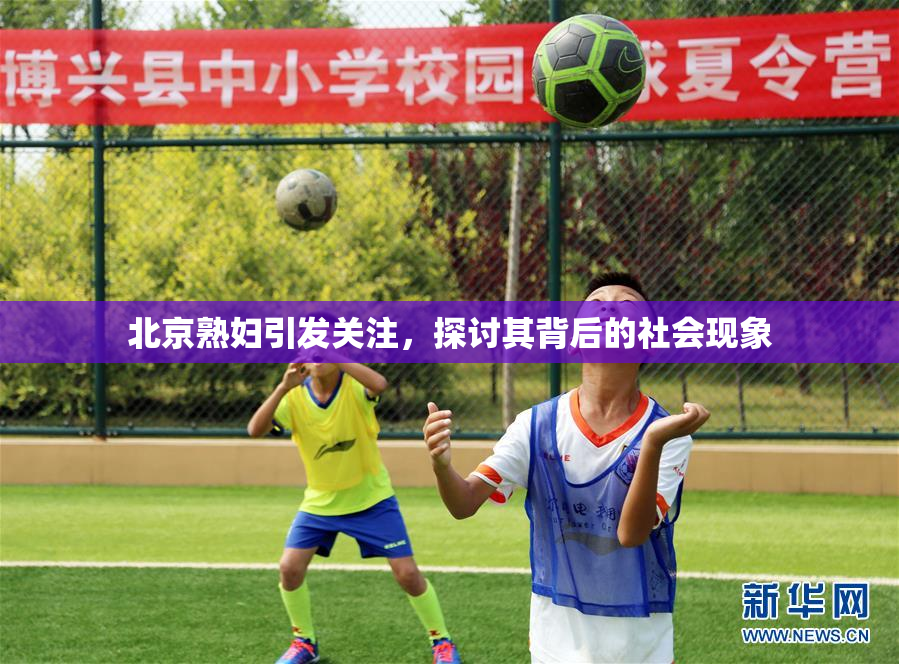 北京熟妇引发关注，探讨其背后的社会现象