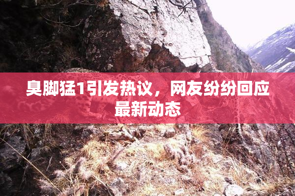臭脚猛1引发热议，网友纷纷回应最新动态