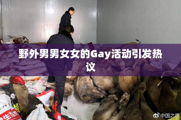 野外男男女女的Gay活动引发热议