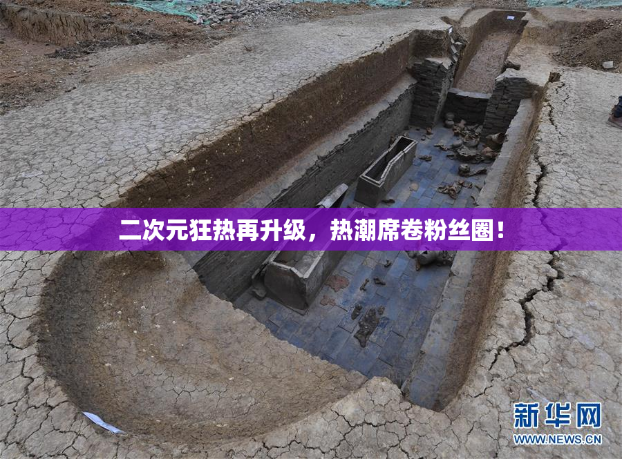 二次元狂热再升级，热潮席卷粉丝圈！