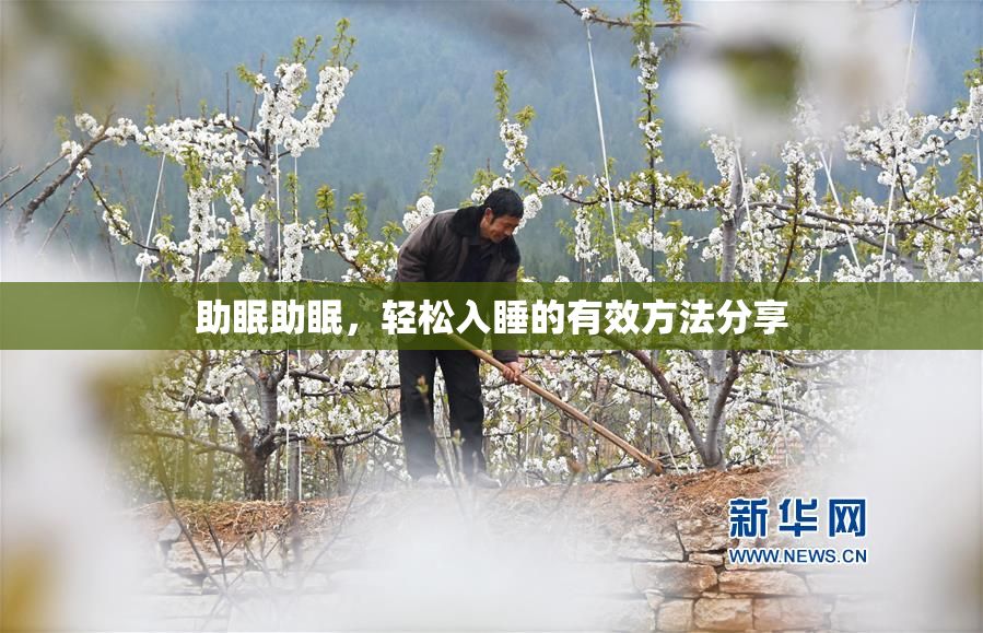 助眠助眠，轻松入睡的有效方法分享