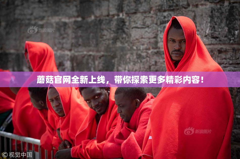 蘑菇官网全新上线，带你探索更多精彩内容！