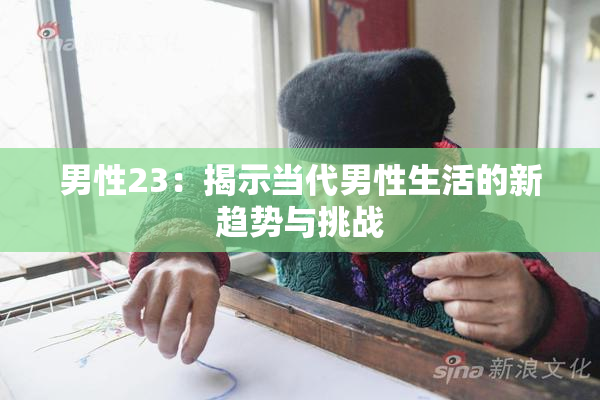 男性23：揭示当代男性生活的新趋势与挑战
