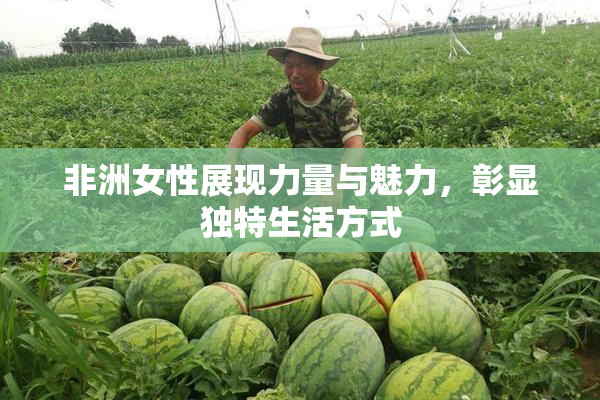 非洲女性展现力量与魅力，彰显独特生活方式