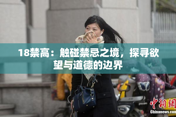 18禁高：触碰禁忌之境，探寻欲望与道德的边界
