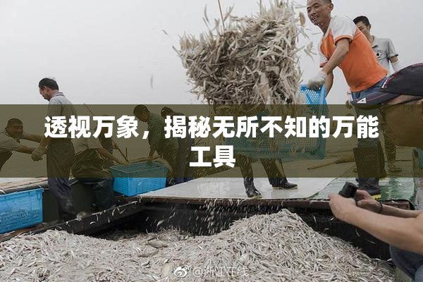透视万象，揭秘无所不知的万能工具