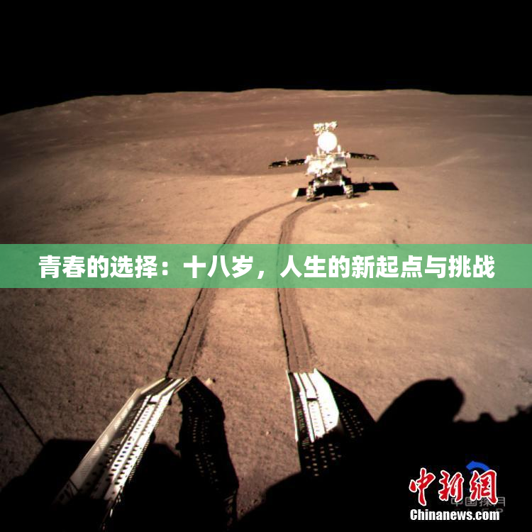 青春的选择：十八岁，人生的新起点与挑战