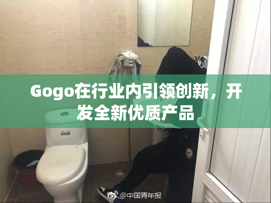 Gogo在行业内引领创新，开发全新优质产品
