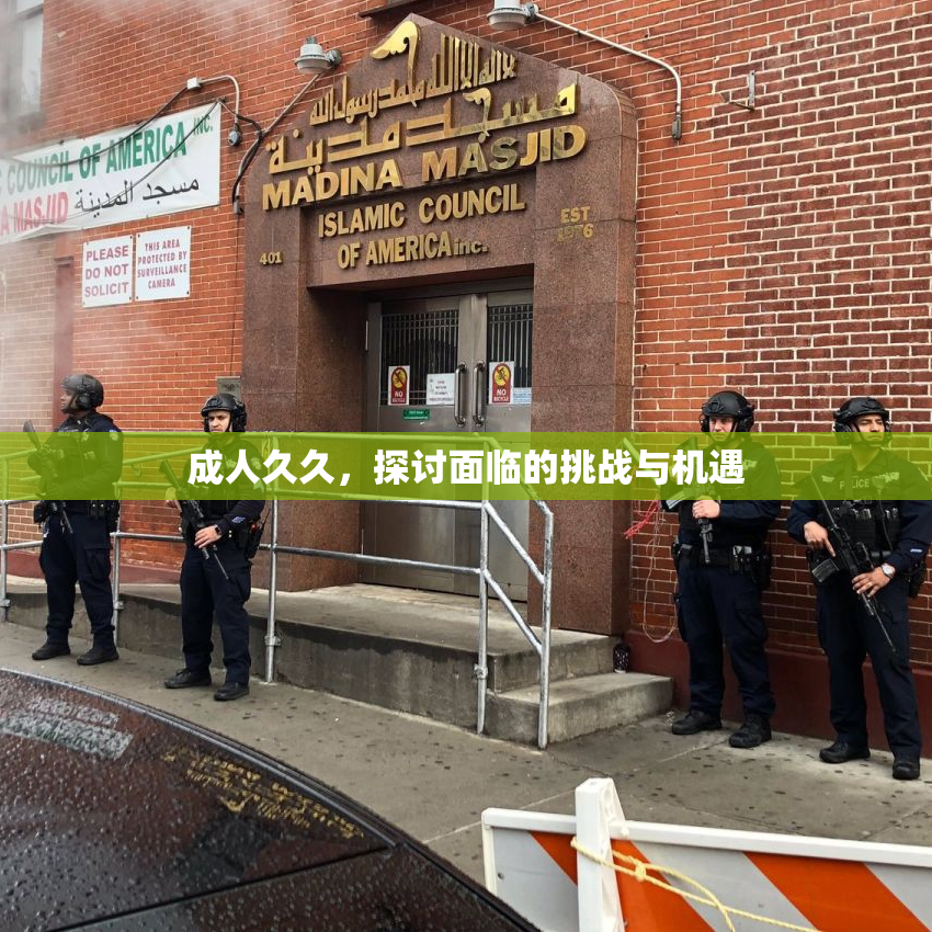 成人久久，探讨面临的挑战与机遇