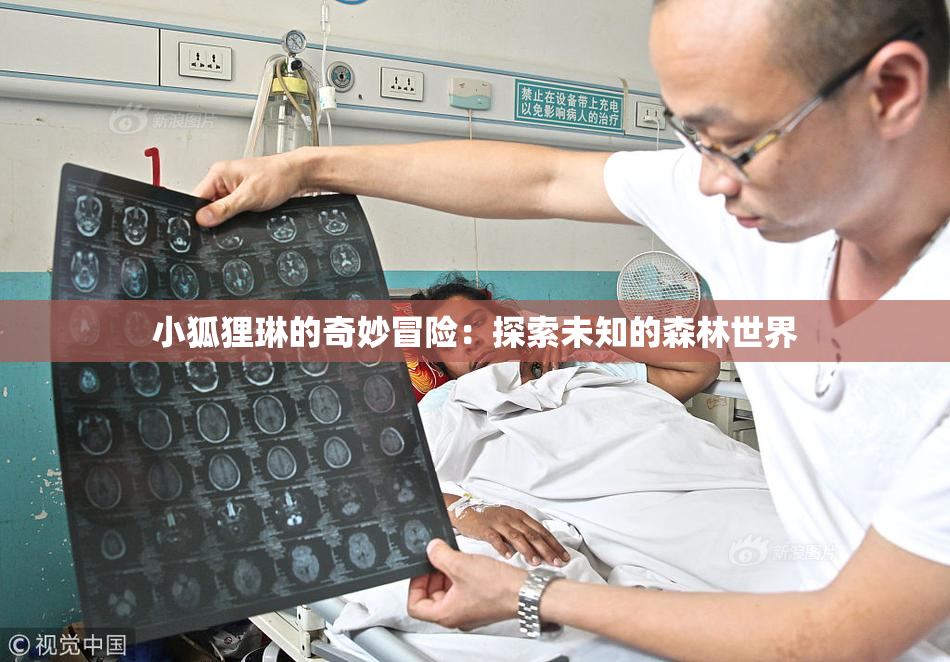 小狐狸琳的奇妙冒险：探索未知的森林世界