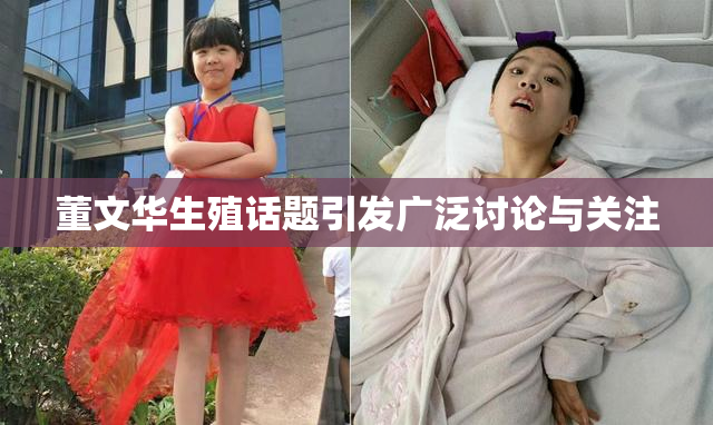 董文华生殖话题引发广泛讨论与关注