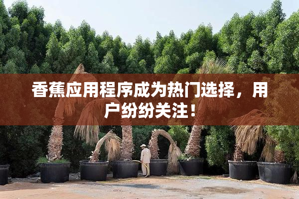 香蕉应用程序成为热门选择，用户纷纷关注！