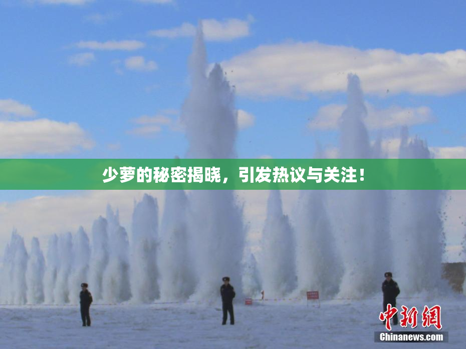 少萝的秘密揭晓，引发热议与关注！