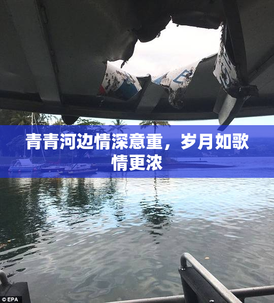 青青河边情深意重，岁月如歌情更浓