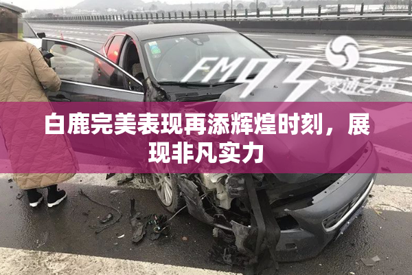 白鹿完美表现再添辉煌时刻，展现非凡实力