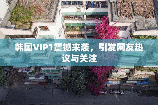 韩国VIP1震撼来袭，引发网友热议与关注