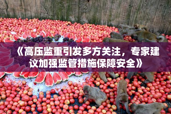 《高压监重引发多方关注，专家建议加强监管措施保障安全》