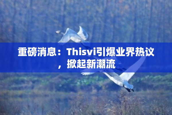 重磅消息：Thisvi引爆业界热议，掀起新潮流