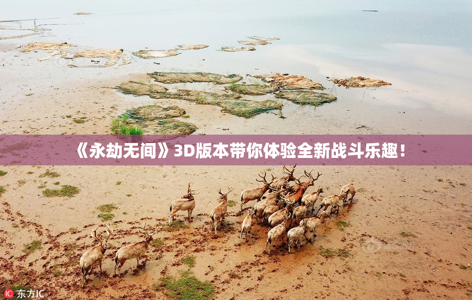 《永劫无间》3D版本带你体验全新战斗乐趣！