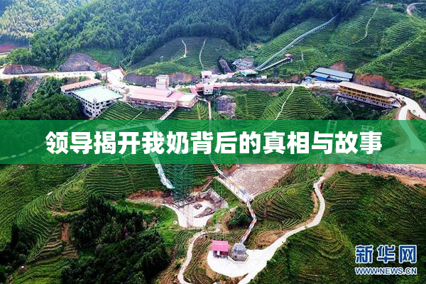 领导揭开我奶背后的真相与故事