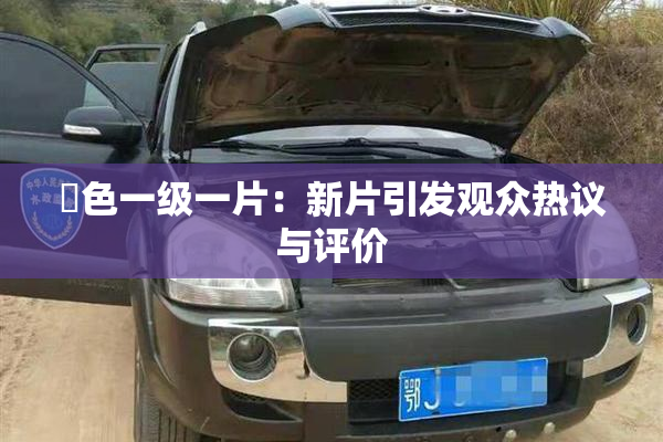 黃色一级一片：新片引发观众热议与评价