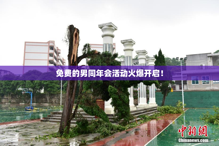 免费的男同年会活动火爆开启！