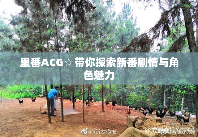 里番ACG☆带你探索新番剧情与角色魅力