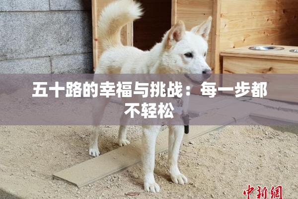 五十路的幸福与挑战：每一步都不轻松