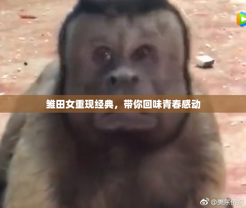 雏田女重现经典，带你回味青春感动