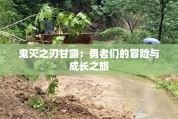 鬼灭之刃甘露：勇者们的冒险与成长之旅