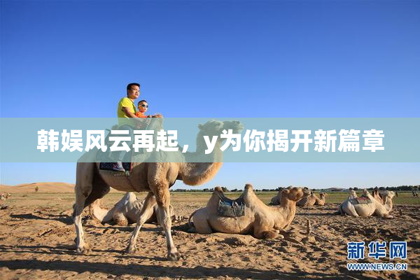 韩娱风云再起，y为你揭开新篇章