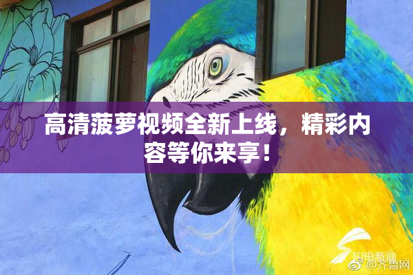 高清菠萝视频全新上线，精彩内容等你来享！