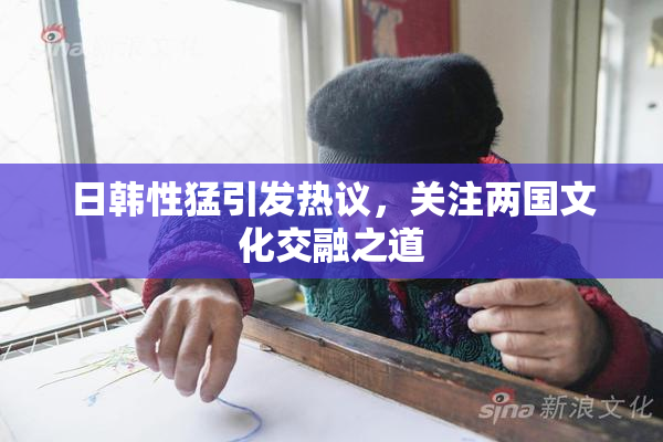 日韩性猛引发热议，关注两国文化交融之道
