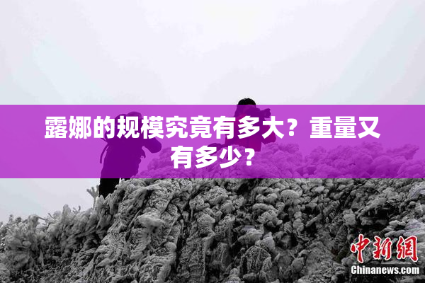 露娜的规模究竟有多大？重量又有多少？