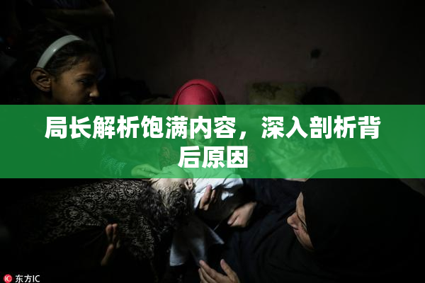 局长解析饱满内容，深入剖析背后原因